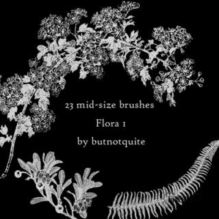 23种热带丛林里的植物图像PS笔刷下载-玩吧资源站