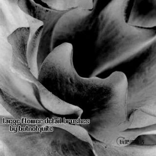 盛开的鲜花花朵图案PS笔刷素材下载-玩吧资源站