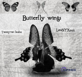 蝴蝶翅膀图形Photoshop蝴蝶笔刷素材-玩吧资源站