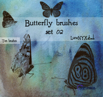 飞蛾、蝴蝶昆虫标本Photoshop笔刷下载-玩吧资源站