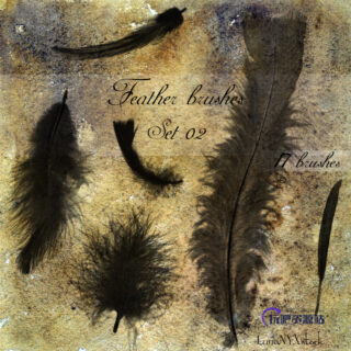 羽毛、鹅毛图形Photoshop笔刷下载-玩吧资源站