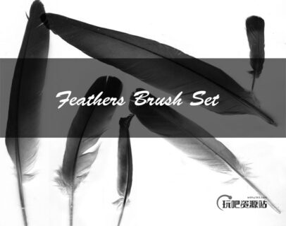 鹅毛、羽毛笔图片Photoshop笔刷素材-玩吧资源站
