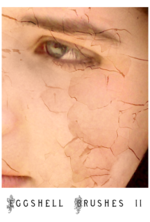 蛋壳破碎纹理、裂痕纹理材质Photoshop笔刷下载-玩吧资源站