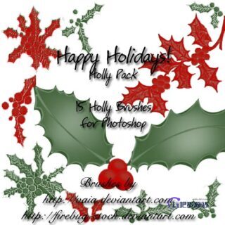 圣诞节叶子装饰图案花纹Photoshop圣诞节笔刷-玩吧资源站