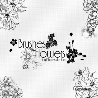 漂亮的手绘艺术线条花纹图案、鲜花花朵Photoshop笔刷下载-玩吧资源站
