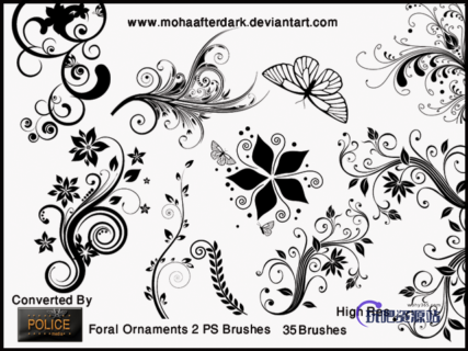 漂亮的植物艺术系印花图案Photoshop笔刷下载-玩吧资源站