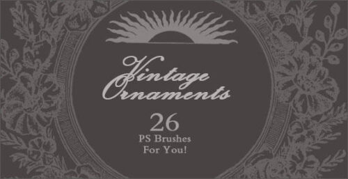 漂亮复古式风格的印花花纹图案PS笔刷下载-玩吧资源站