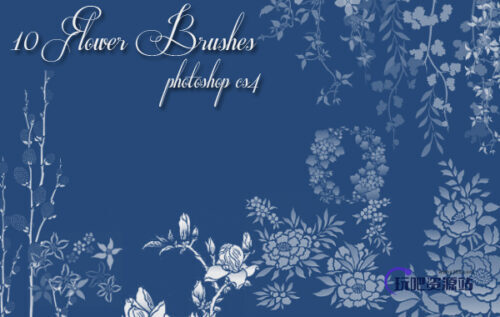 10种植物花纹图案、鲜花印花花纹PS笔刷下载-玩吧资源站