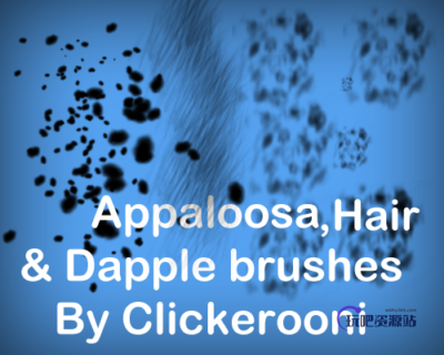 动物毛发、动物皮肤斑点纹理Photoshop笔刷下载-玩吧资源站