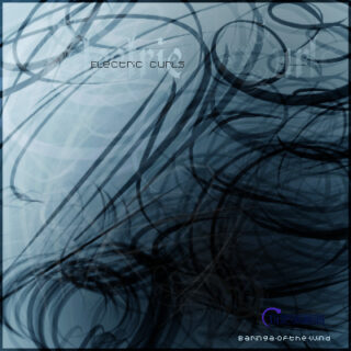 电动卷发式线条图案PS笔刷素材下载-玩吧资源站