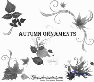 优美的植物印花花纹图案PS笔刷素材下载-玩吧资源站