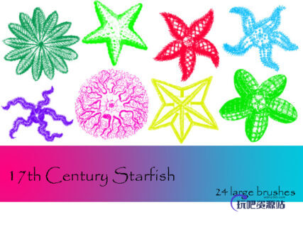 各种海星图案PS笔刷下载-玩吧资源站