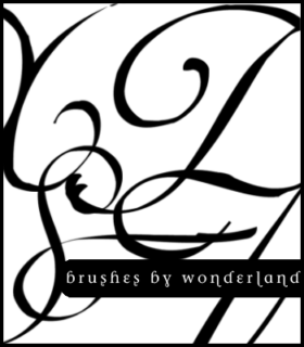 飞舞的线条印花笔刷PS素材-玩吧资源站