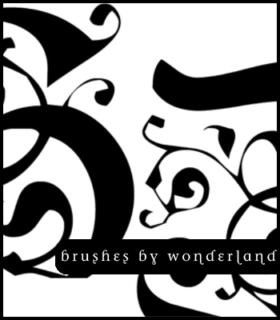 欧式艺术印花笔刷PS笔刷素材-玩吧资源站