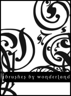 欧式印花风格的PS笔刷素材-玩吧资源站