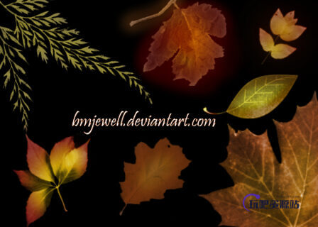 树叶落叶、枫叶、枯叶子PS笔刷下载-玩吧资源站