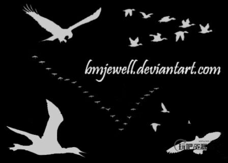 飞鸟、大雁群、鸟群等图案PS笔刷下载-玩吧资源站
