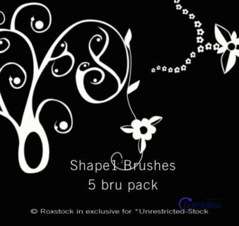 手绘花卉印花图案PS花纹笔刷-玩吧资源站