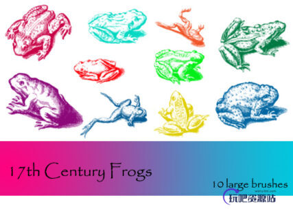 癞蛤蟆、青蛙、牛蛙等造影图像PS笔刷下载-玩吧资源站