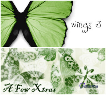 蝴蝶艺术花纹图案、精美蝴蝶印花PS笔刷素材下载-玩吧资源站