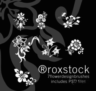精美的鲜花植物印花图案PS植物花纹笔刷-玩吧资源站