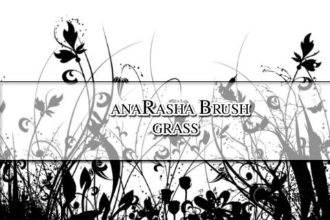 漂亮优雅的植物花纹、印花图案PS笔刷素材下载-玩吧资源站