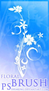 优美的艺术鲜花植物花纹PS笔刷素材下载-玩吧资源站