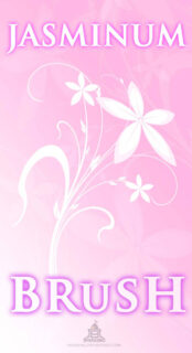 高雅的鲜花印花图案PS笔刷素材下载-玩吧资源站