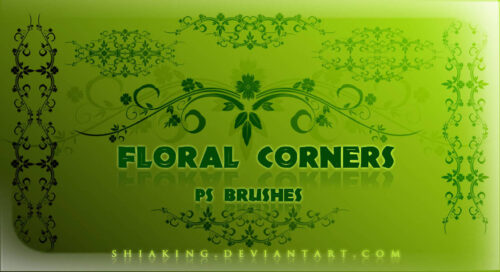 漂亮富贵经典的印花、墙壁花纹PS笔刷下载-玩吧资源站