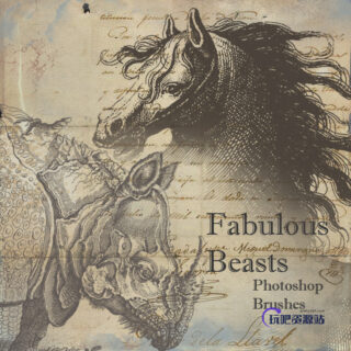 神话中的骏马、犀牛等图像PS笔刷下载-玩吧资源站