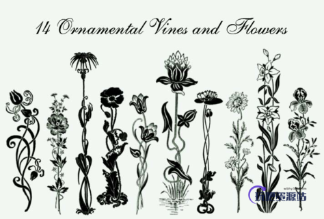 14种手绘鲜花花朵图案装饰PS笔刷素材-玩吧资源站