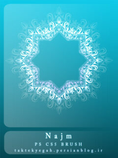 漂亮的镜像式植物印花图案PS笔刷下载-玩吧资源站