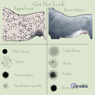 光滑、斑纹、斑点、皮毛等纹理效果PS笔刷下载-玩吧资源站