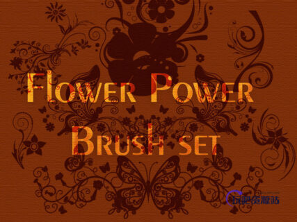 高雅艺术印花图案Photoshop花纹笔刷素材下载-玩吧资源站