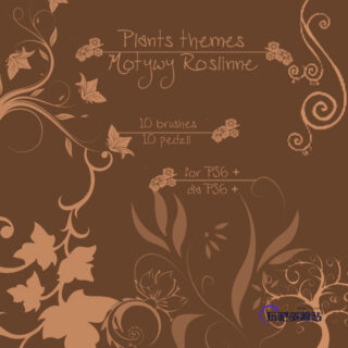 优美的艺术印花图案Photoshop笔刷素材下载-玩吧资源站