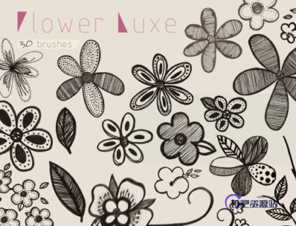 30种精美的手绘花朵图案、鲜花印花素材PS笔刷下载-玩吧资源站