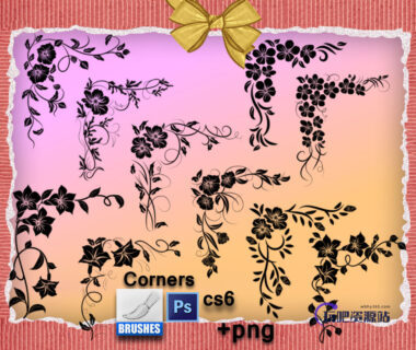 漂亮的手绘鲜花植物图案Photoshop印花笔刷下载-玩吧资源站