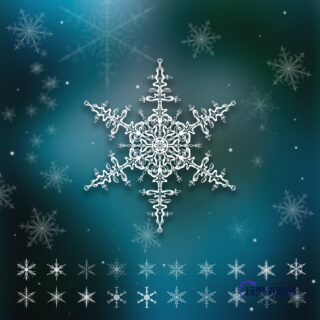 漂亮精美的手绘雪花、雪片花纹图案Photoshop笔刷下载-玩吧资源站