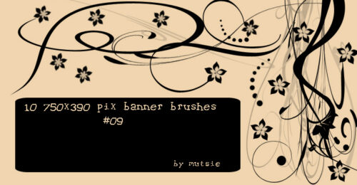 10种植物枝条式艺术花纹图案Photoshop笔刷下载-玩吧资源站