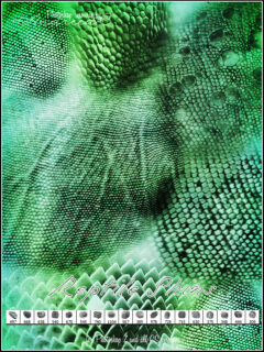 爬行动物鳞甲纹理图案Photoshop笔刷下载-玩吧资源站