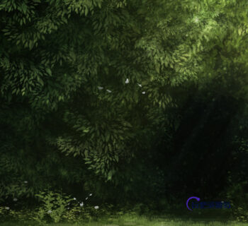 树叶效果PS笔刷素材下载-玩吧资源站