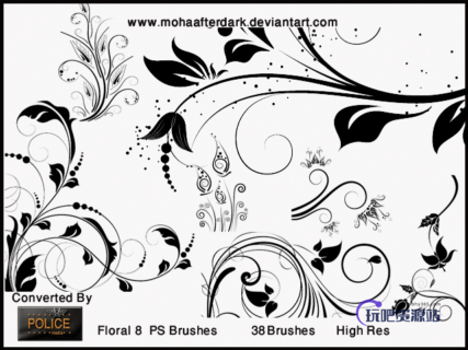 手绘欧式印花花纹笔刷Photoshop植物花纹笔刷-玩吧资源站