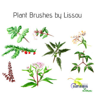 手绘水彩植物野草、野花图形PS笔刷下载-玩吧资源站