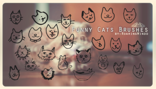 手绘卡通猫咪头像PS照片美化装饰呆萌笔刷-玩吧资源站