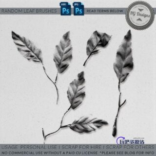 树叶、叶子效果图案PS笔刷下载-玩吧资源站