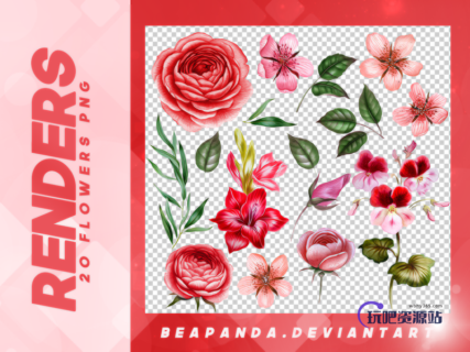 漂亮的鲜花图案PNG格式免扣素材笔刷-玩吧资源站