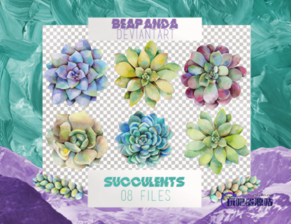 漂亮的水彩多肉、宝石花图案PS比素材下载（PNG免扣图透明格式）-玩吧资源站