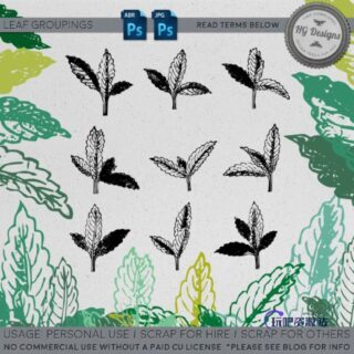 手绘植物嫩芽图案Photoshop笔刷素材-玩吧资源站