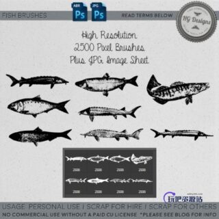 大海里的鱼造型Photoshop笔刷素材-玩吧资源站
