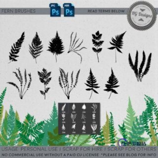 蕨类植物叶子图案Photoshop笔刷下载-玩吧资源站